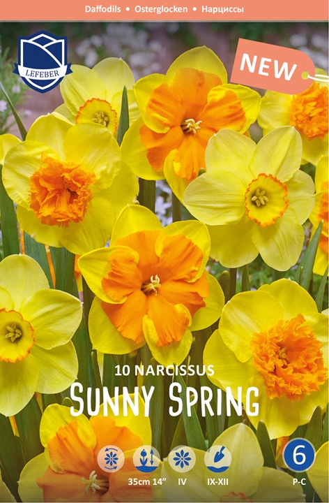 Narcis-Sunny-Spring