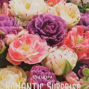 Tulppaani-romantic-surprise