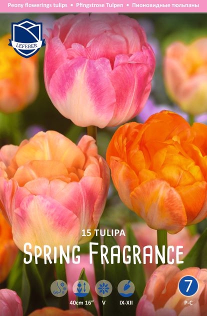 Tulppaani-Spring-fragrance-2