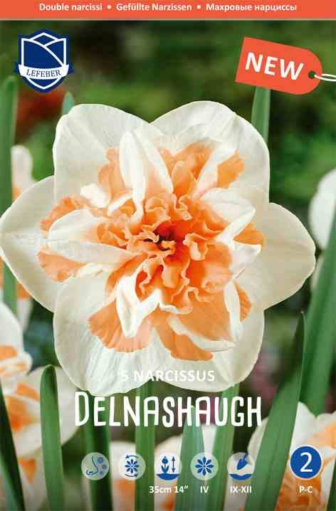 Narcis-Delnashaugh-Narsissi